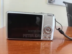 Panasonic Lumix DMC Fx01 Camera