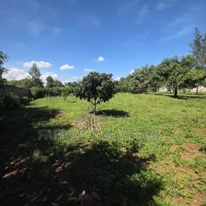 2Adjacent Commercial Plot for Sale Kamakis