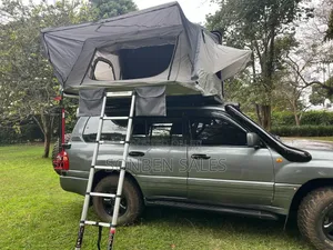 Toyota Land Cruiser 2001 Gray