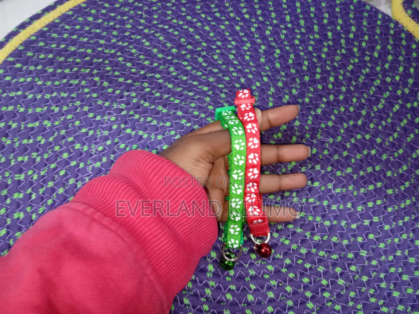 Colored Cat Collar