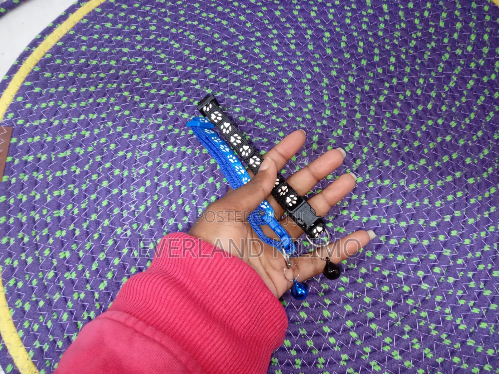 Colored Printed Cat Collars