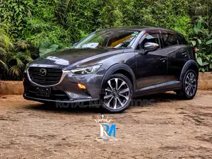 Mazda CX-3 2019 Gray