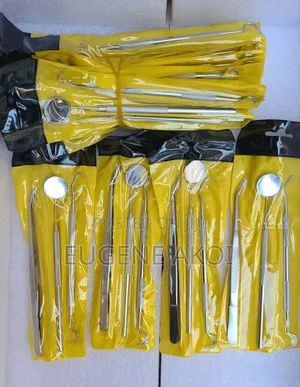 Professional Dental Set