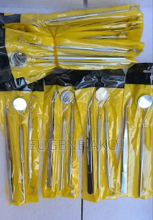 Professional Dental Set