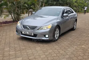Toyota Mark X 2010 Gray