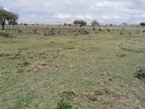 3.5 Acres for Sale in Nanyuki With Mt Kenya Views – KSh Per Acre