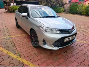 Toyota Axio 2017 Silver