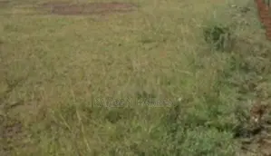 1/8-Acre Plot for Sale in Maguguni, Thika East – KSh 950,000
