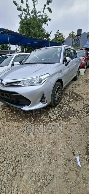 Toyota Axio 1.5 G 4WD 2019 Silver
