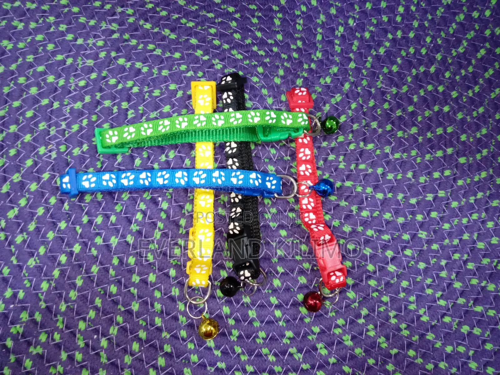Various Colored Puppy Printed Collar