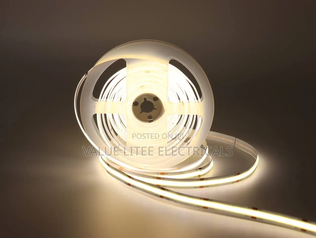 5 Meter COB Striplight LED Snakelight