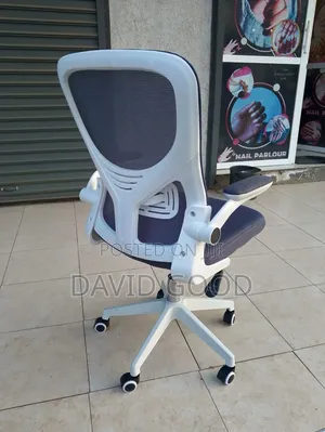 Orthopedic Office Chair Grey