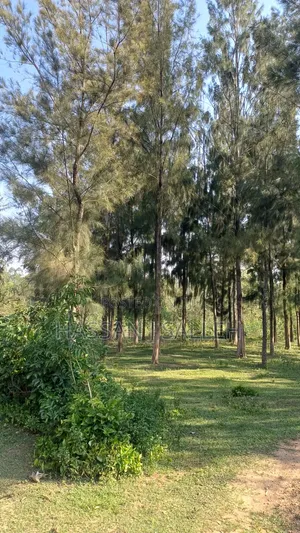 2acres Land on Sale Inaya.