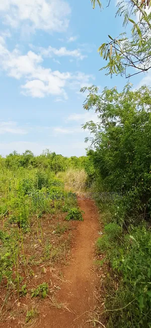 For Sale 3 Acres Land Chale South Coast