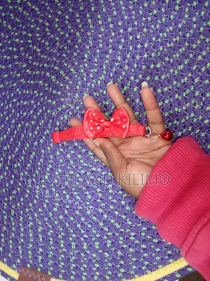Red Collar With Bell and Bow for Cats