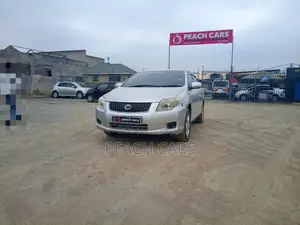 Toyota Axio 2008 Silver