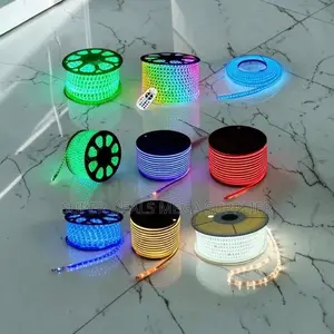 Double Line LED Snake Lights Strip Lights Wholesale Prices