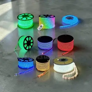 Single Line LED Snake Lights Strip Lights Wholesale Prices