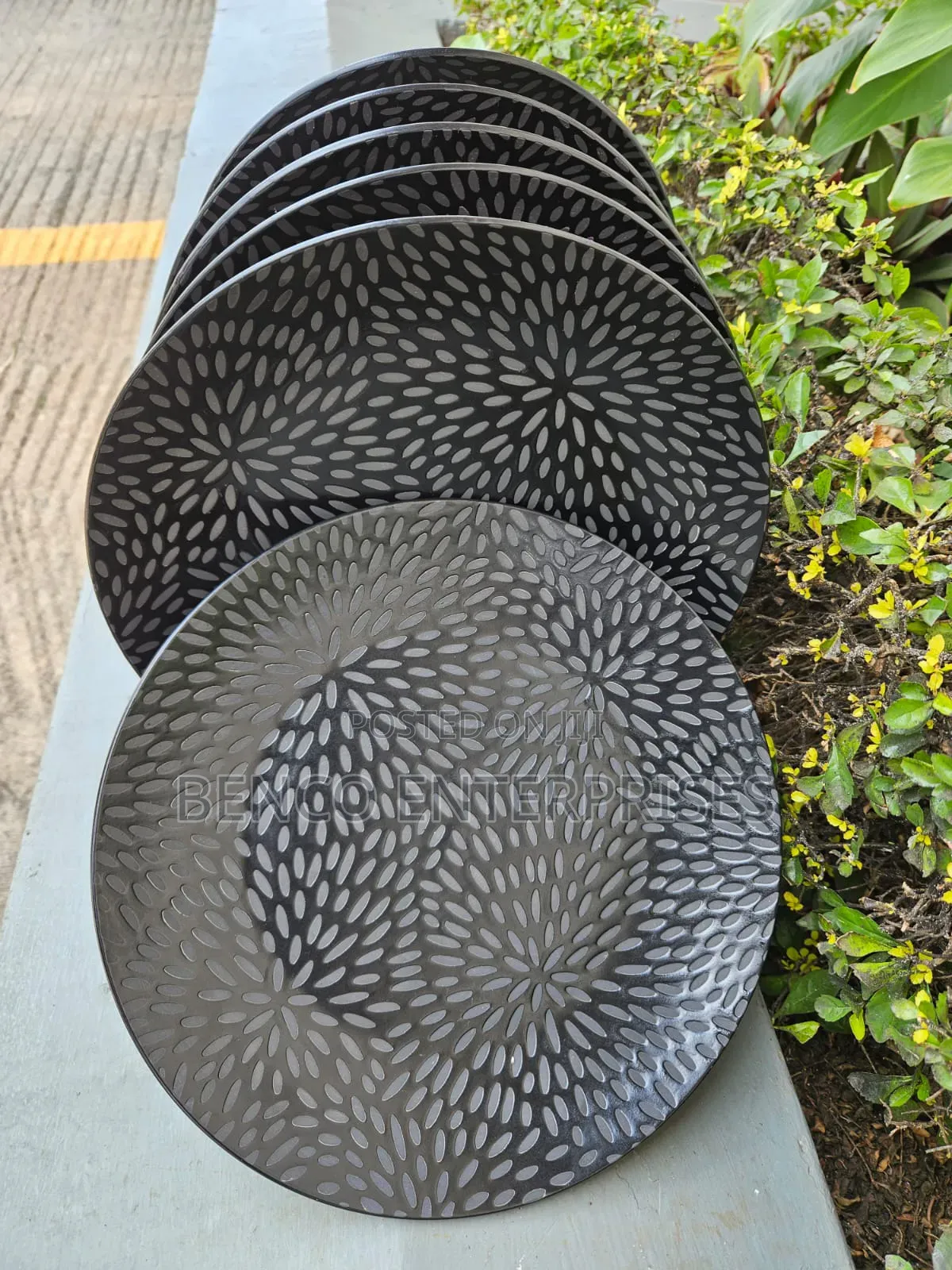 Dinner Plates 6pcs