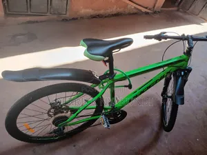 Phoenix 26" Mountain Bike (21 Speed, Disc Brakes, Fully Serviced)