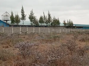 1/4 Plot at Undugu Children's