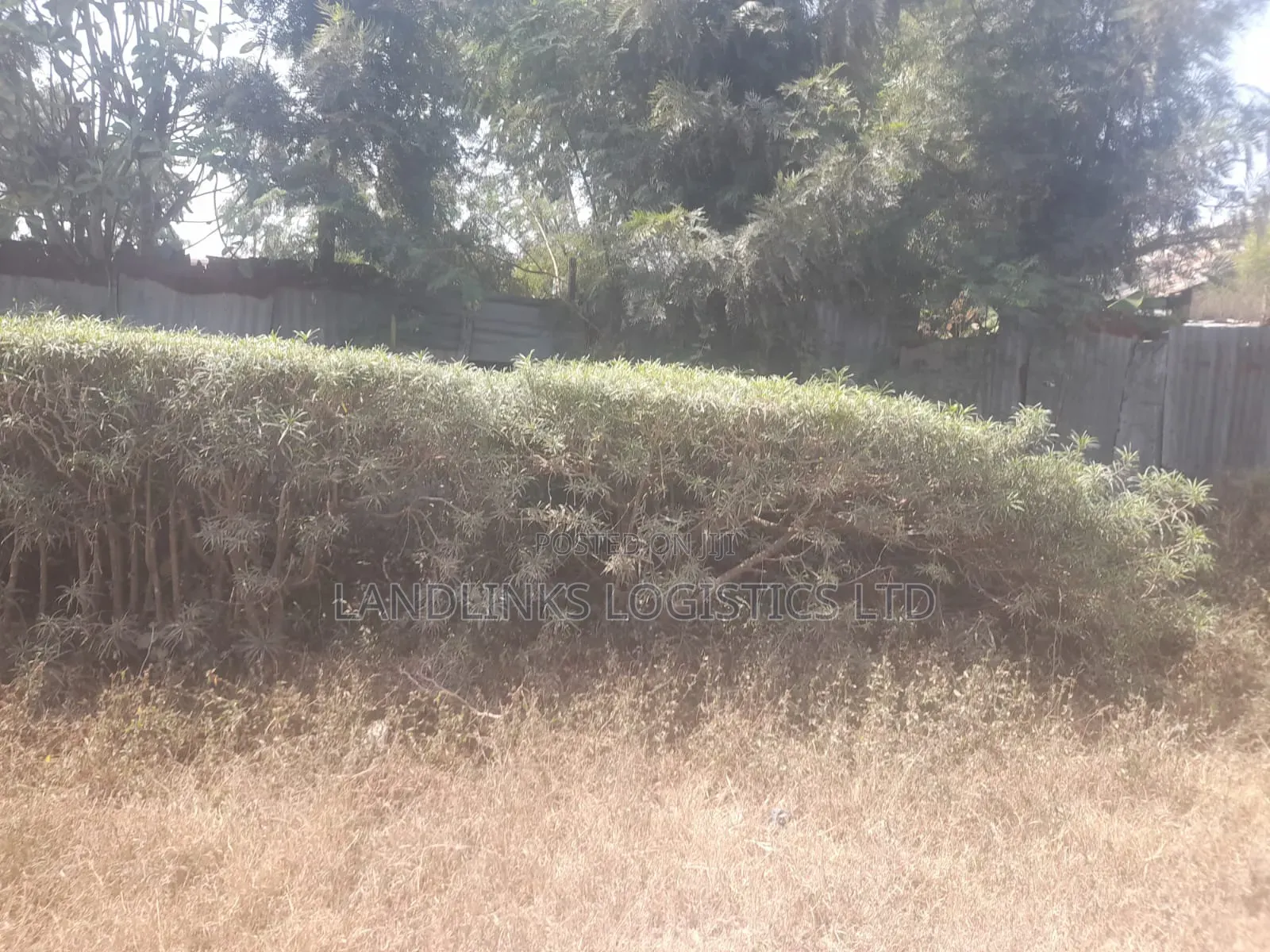 South C Plot 50 * 100 at 120m Oleshapara Rd