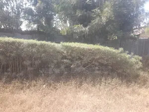 South C Plot 50 * 100 at 120m Oleshapara Rd