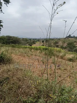 Land for Sell