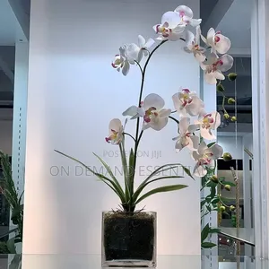 Glass Vase Cube Plain