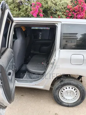 Toyota Probox 2009 Silver