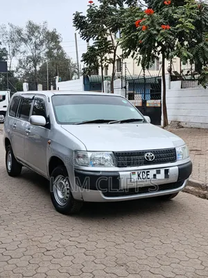 Toyota Probox 2009 Silver