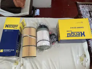 Mp4 Hengst Filters