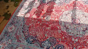 Carpet 10by6 Fit