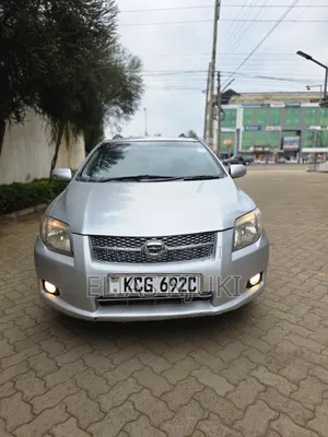 Toyota Corolla Fielder 2010 Silver