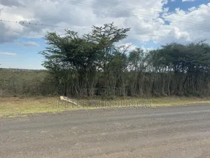 Nanyuki Near Ol Pejeta Conservancy-16 Acres, Title