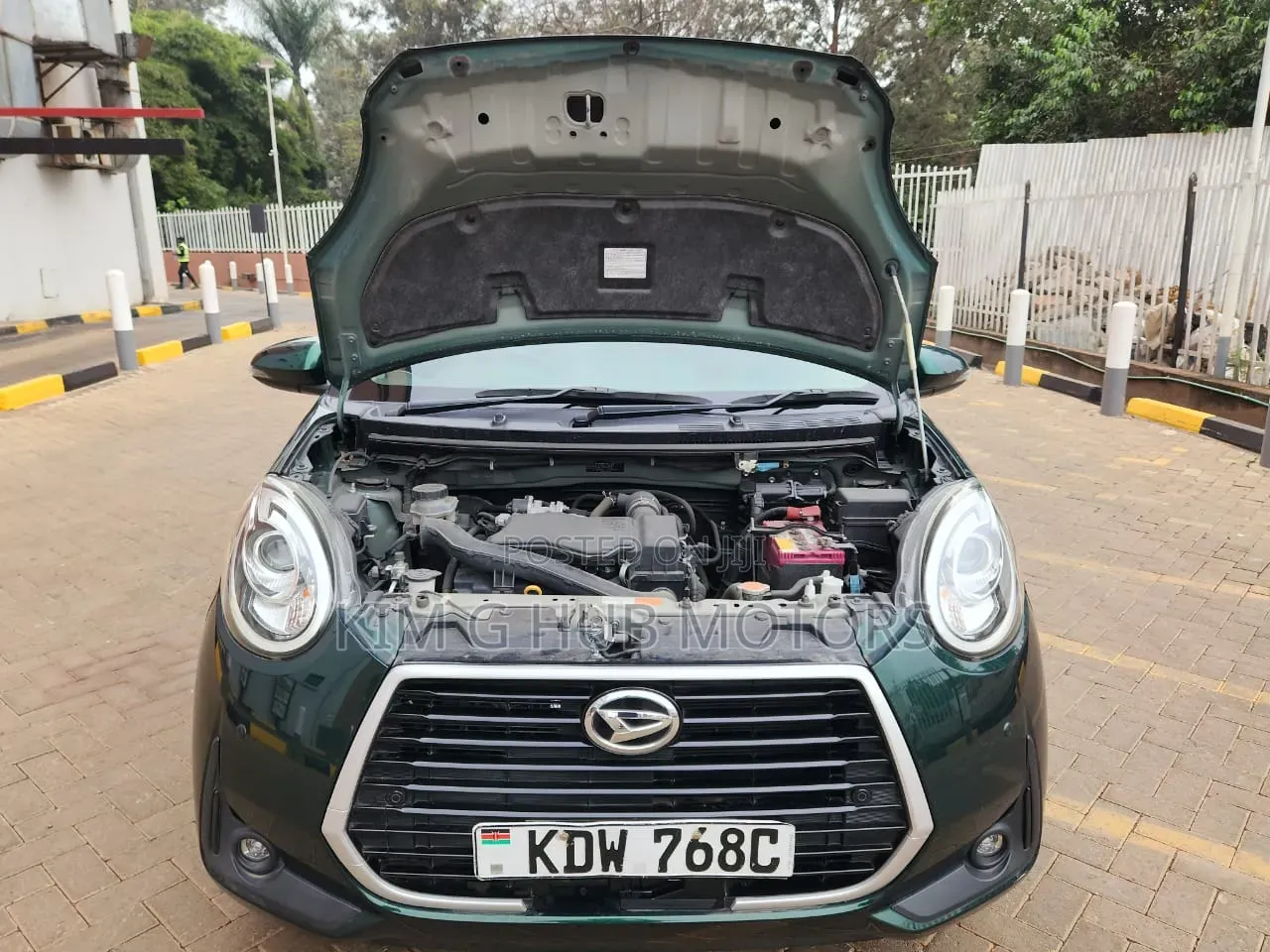 Toyota Passo 2019 Green