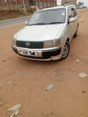 Toyota Probox 2004 Silver