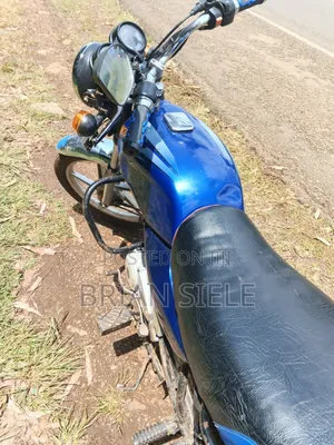 Bajaj Boxer 100 2024 Blue