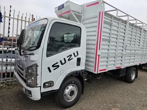 Isuzu NQR Open Body Year 2019