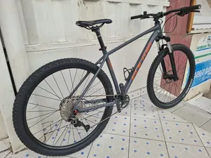 Forme Curbar 29er MTB