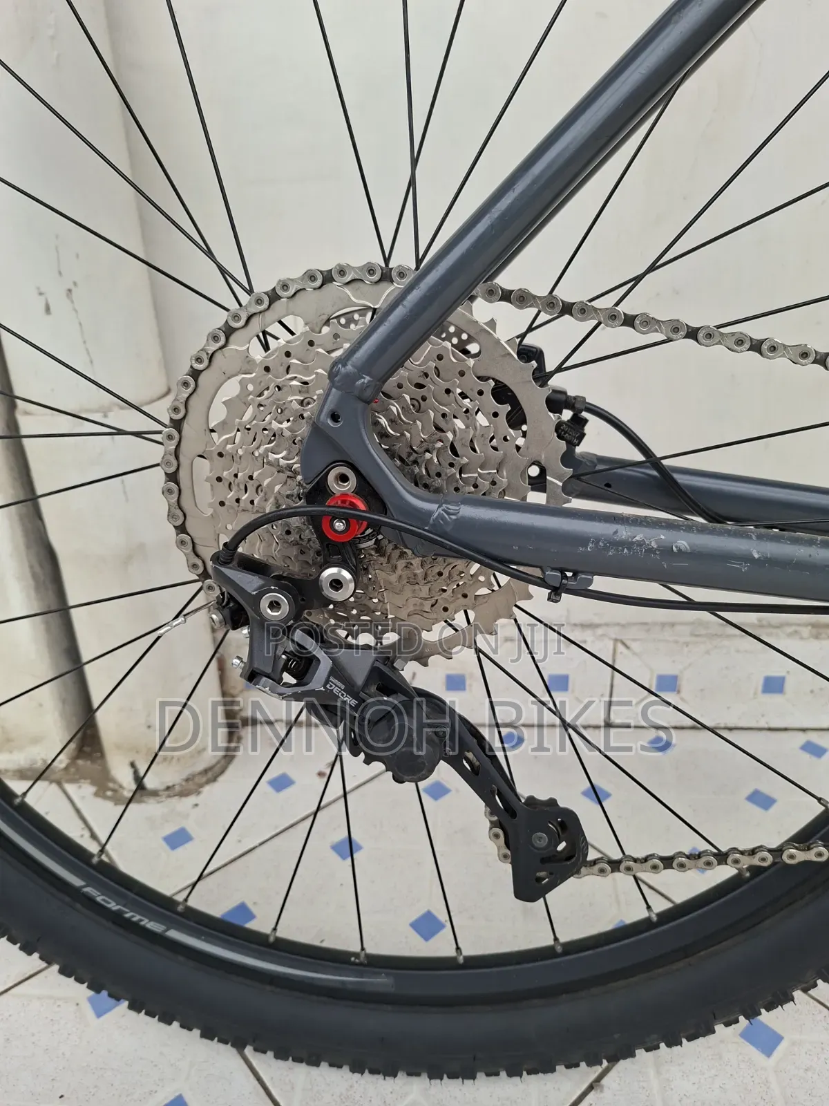 Forme Curbar 29er MTB