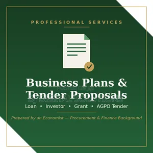 Business Plan, Feasibility Study Tender Proposal Writing