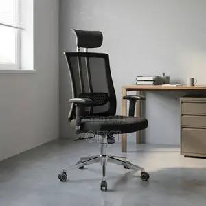 Office Chair; Orthopedic Executive Office Seat