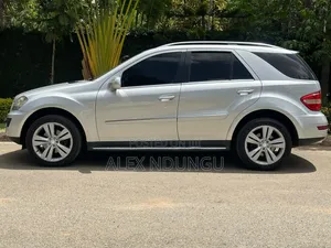 Mercedes-Benz M Class 2010