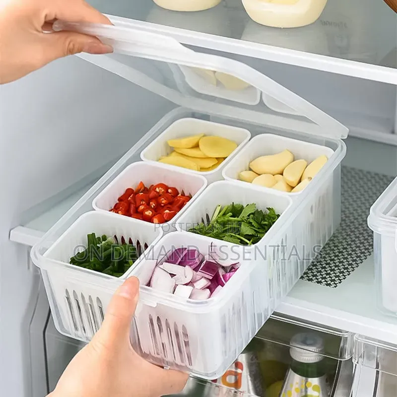 6 Grid Food Storage Container With Lid