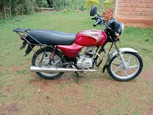 Bajaj Boxer 100 2024 Red