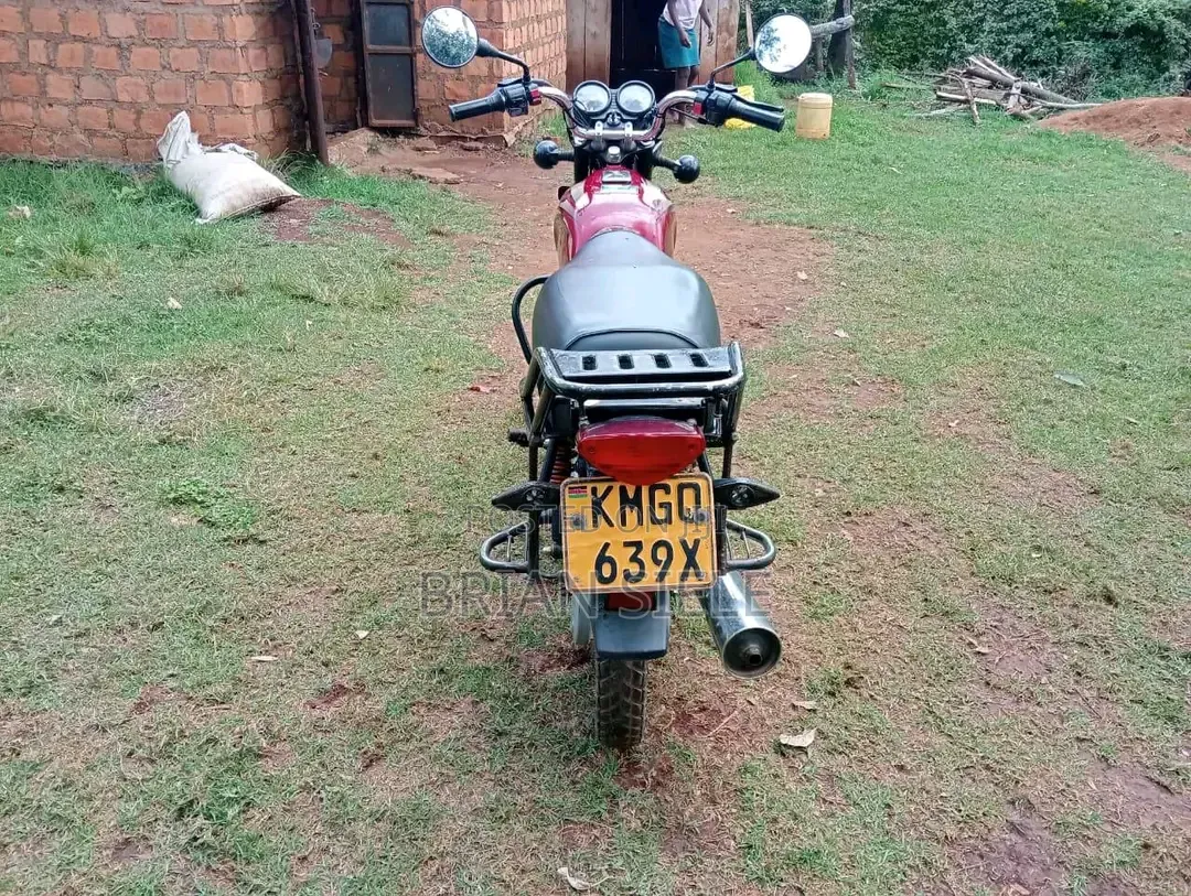 Bajaj Boxer 100 2024 Red
