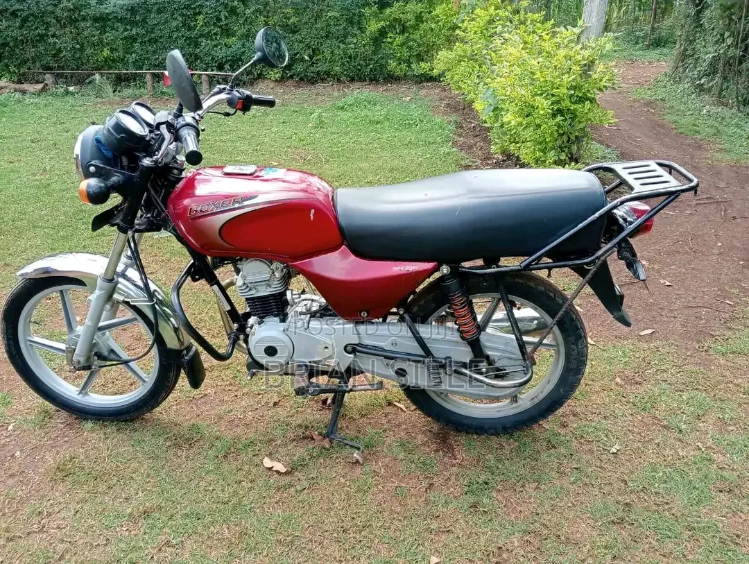 Bajaj Boxer 100 2024 Red