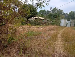 Prime 2 Acres for Sale – Makuyu, Near Makuyu Girls