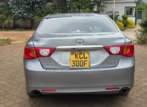Toyota Mark X 2010 Silver